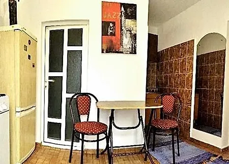Studio Vila Coral 康斯坦察